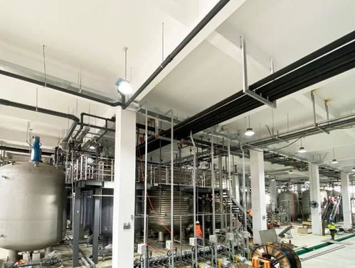 科學家發現衰老逆轉關鍵分子，富人圈爭相追捧，市場規?；蜻_300億